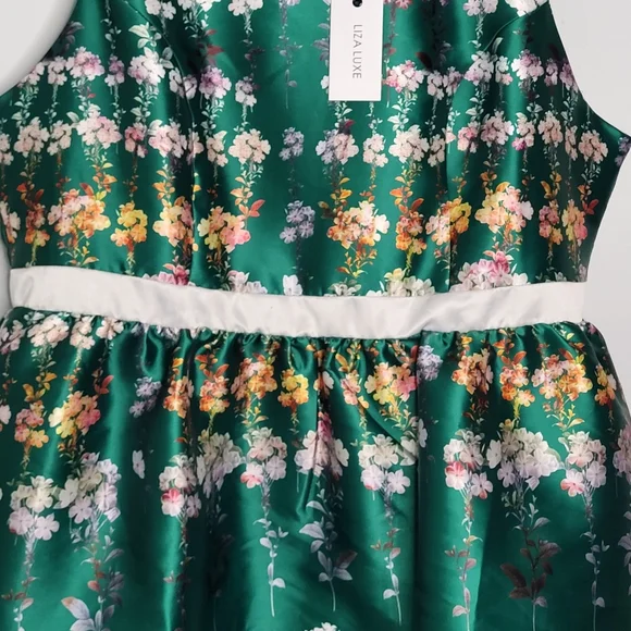ModCloth Liz Luxe Emerald Floral Fit & Flare Dress XXL NWT Satin Garden Party - Picture 4 of 15